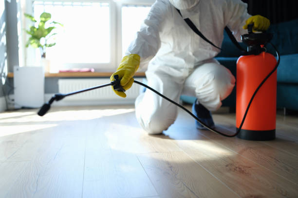 Reliable Infectious Disease Decontamination contractor in Alamo, TX by Trauma Clean Pros